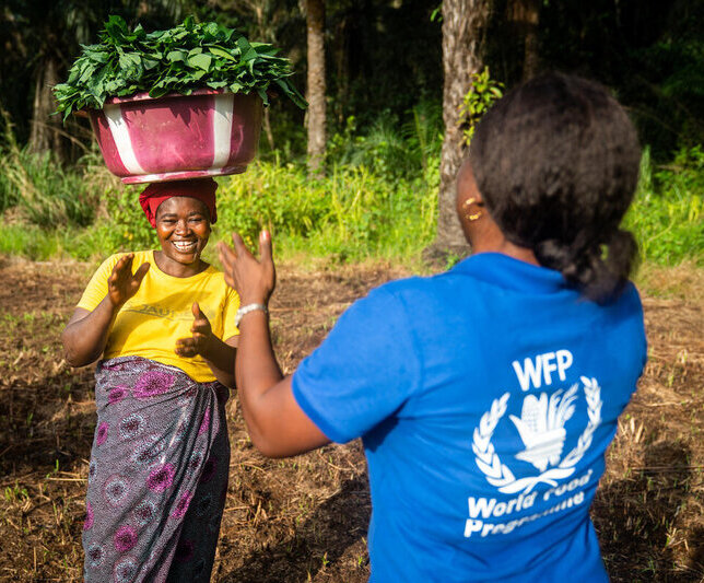 Småbrukare i Sierra Leone odlar grönsaker åt ett lokalt skolmatsprogram. Foto: WFP
