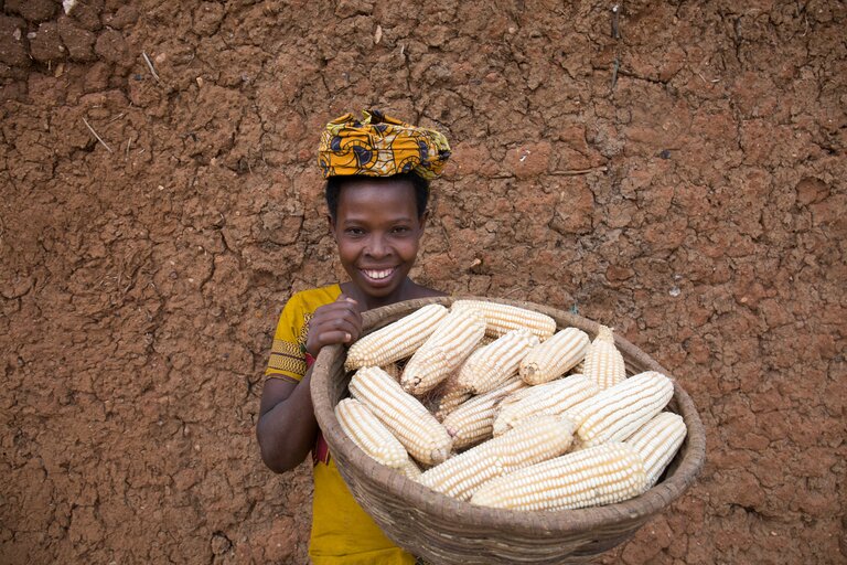 Minskat matsvinn leder till ökade inkomster i Rwanda