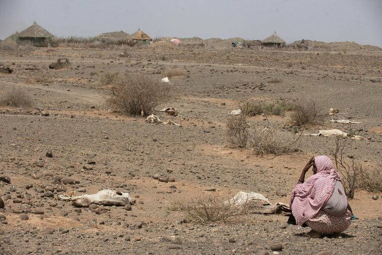 Etiopien: WFP motverkar hungern under svåraste torkan på decennier 
