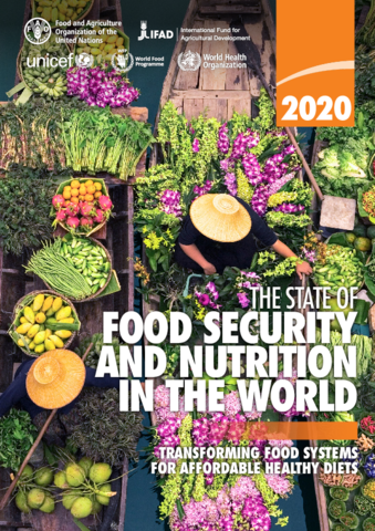 The State of Food Security and Nutrition in the World 2020 