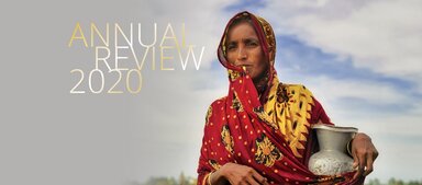 Annual Review 2020