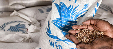 WFP - hands with seeds