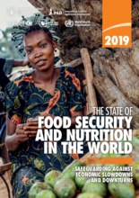 2019 - The State of Food Security and Nutrition in the World (SOFI) 