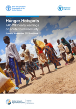 Hunger Hotspots: FAO-WFP varnar för akut livsmedelsotrygghet (prognos för juni-november 2023)