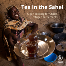 Te i Sahel: Ren matlagning i Tchads flyktingläger